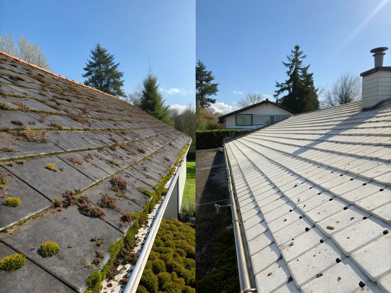 A roof before and after cleaning, showing a bright, algae-free surface, highlighting the benefits of Premier Wave Pressure Washing's roof washing service.